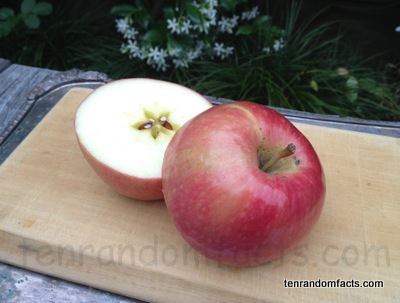 Red Apple, Pink Lady Apple, Ten Random Facts