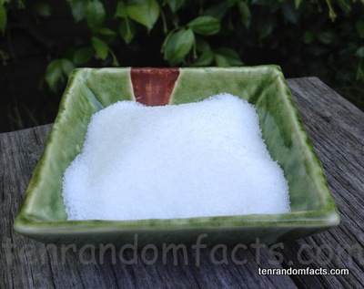 sugar, food, ten random facts