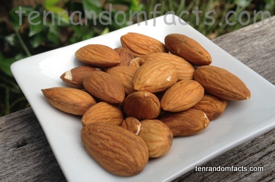 Almonds, Brown, Nuts, Ten Random Facts