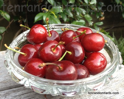 Cherries, Cherry, Sour, Eatable, Many, Lots, Glass, Ten Random Facts