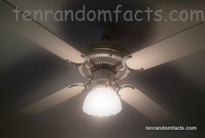Ceiling Fan, Roof, Light On, Old Model, Classic, Ten Random Facts