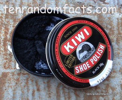 How to Open a Can of Shoe Polish 