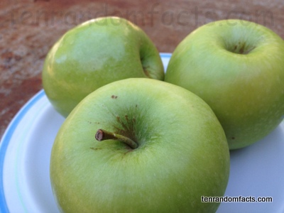 Granny Smith: the apple that Sydney gave the world