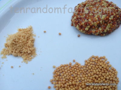 Mustard, Yellow, Seeds, Mixture Powder, Yellow, Brown, Blobs, Ten Random Facts, Australia