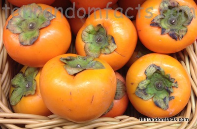 Persimmon, Fruit, Food, Culinary, Trivia, Ten Random Facts, Orange, Basket