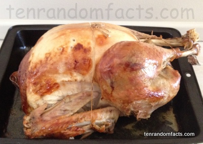 Turkey meat, roasted, brown, white, whole, Ten Random Facts, Bird, Australia, Christmas