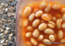 Baked Beans