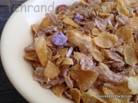 Breakfast Cereal