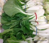 Bok Choy