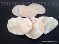 Papadum