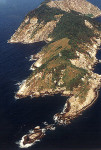 Ilha de Queimada Grande